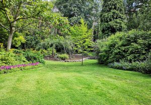 Optimiser l'expérience du jardin à Scorbe-Clairvaux